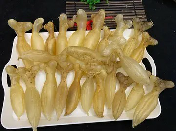 泡发好的鳕鱼胶怎么存放(鳕鱼胶的浸泡方法肥妈？)